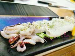枪鱿鱼刺身-达摩君日本料理(泰海花园小区店)
