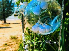 -那琴半岛地质海洋公园