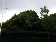 -中田健身工作室(胜利门店)