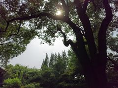 -汇龙潭