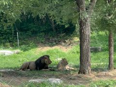 -北京野生动物园