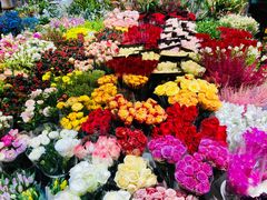 -双季花艺园艺市场(浦东店)