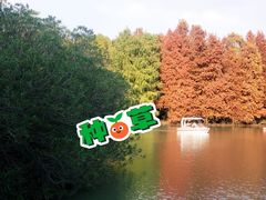 -上海海湾国家森林公园