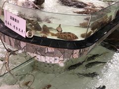 -沙田台山海鲜·酣客酒窖