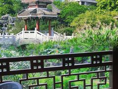 -顺峰山公园