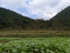 -广州市石门国家森林公园