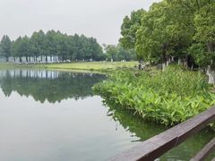 -桐乡凤凰湖