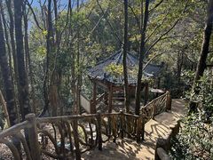 -永泰中国云顶