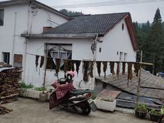 -红米饭酒家