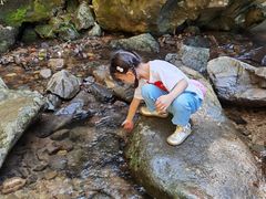 -藏龙百瀑风景区