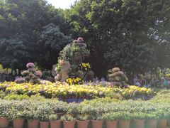 -西湖公园(鼓楼区)