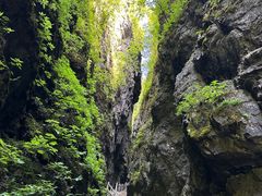 -神农架景区