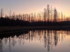 -黄海国家森林公园