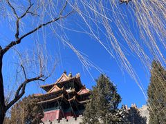 -故宫博物院(故宫)