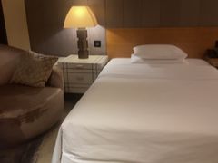 -西安赛瑞喜来登大酒店