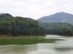 景点-阳台山森林公园