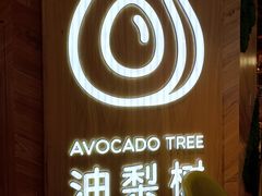 -油梨树AVOCADO TREE(嘉里中心店)