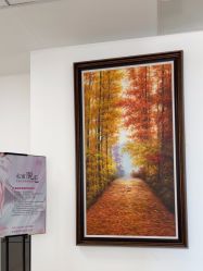 -薇兰专业脱毛连锁机构