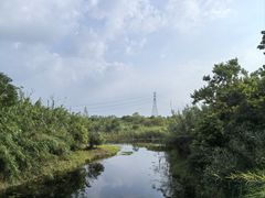 -同里国家湿地公园