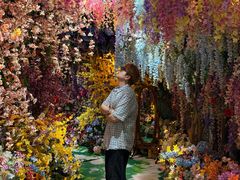 -正佳雨林生态植物园