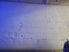 -极乐汇汗蒸会馆(杭州店)