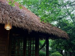 -中国茶叶博物馆(双峰馆区)