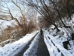 -紫金山山顶公园