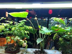 -望京一号·重庆江湖菜(工体店)