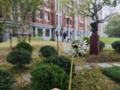 -华东政法大学(松江校区)