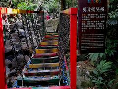 -呀诺达热带雨林