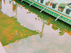 -莲湖公园