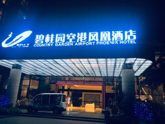 -碧桂园空港凤凰酒店(广州新白云机场店)