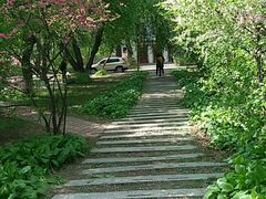 -黑龙江中医药大学