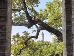 -江心屿景区