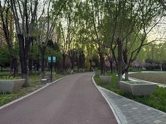 -金星公园