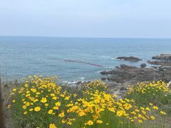 -小麦岛公园