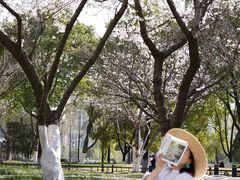 -西北湖绿化广场