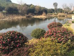 iphone_upload_pic-天目湖涵田半山温泉水乐园