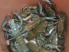 -虾胡闹龙虾馆(湄南河店)