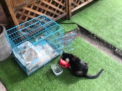 -艾加柒克蛋糕茶歇甜品台(春熙路店)