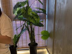 -施奈儿.洗头頭療.按摩SPA.采耳(上梅林店)