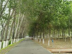 -东郊湿地公园