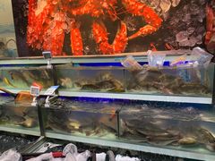 水产区-盒马鲜生(红莲店)