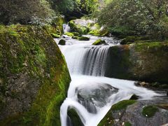 -神农架香溪源景区