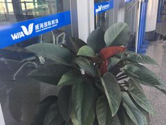 -威海大水泊国际机场