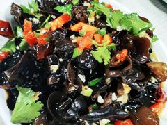 -马黑哥椒麻鸡(清江山水店)