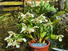 -国家植物园南园