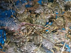 -徐记海鲜(大雁塔|金都店)