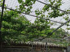 -伊隆斋(什刹海店)