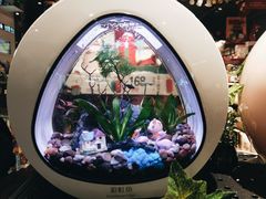 -酷乐潮玩(城西银泰城店)